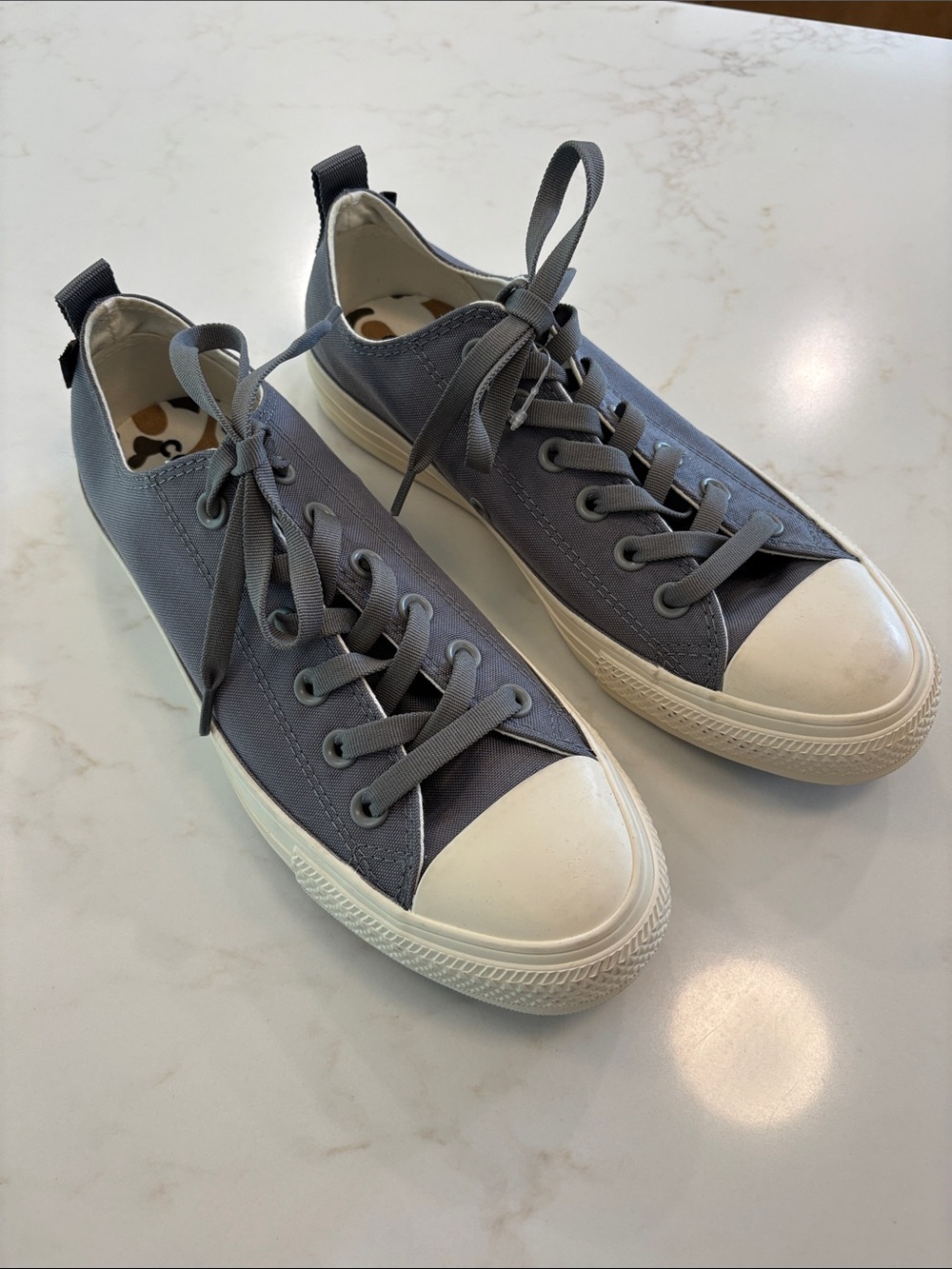 Converse Low-Top Canvas Sneakers in Gray